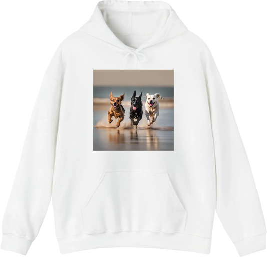2 dogs running on the beach